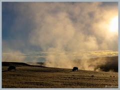 Yellowstone_ER5_1699-HDR