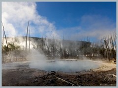 Yellowstone_ER5_1782