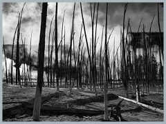 Yellowstone_ER5_1792