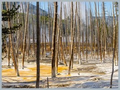 Yellowstone_ER5_1799