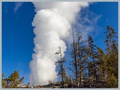 Yellowstone_ER5_1815