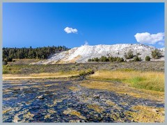 Yellowstone_ER5_1896