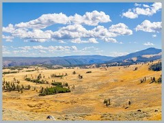 Yellowstone_ER5_1919-Pano