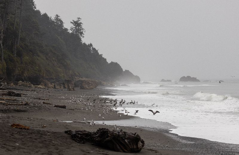 Chobe_5DTR4048_1k6px