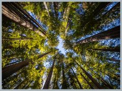 USA_Pacific_Northwest_EOSR2546-HDR