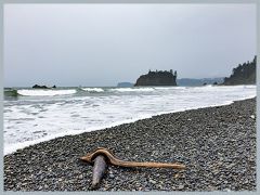 USA_Pacific_Northwest_ER5_5817