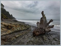 USA_Pacific_Northwest_ER5_5857