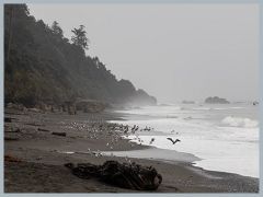 USA_Pacific_Northwest_ER5_5872