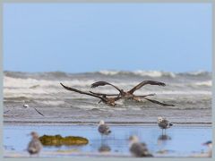 USA_Pacific_Northwest_ER5_5945