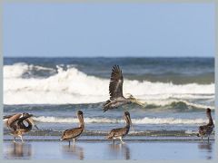 USA_Pacific_Northwest_ER5_5976