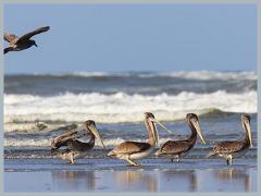 USA_Pacific_Northwest_ER5_5985