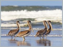 USA_Pacific_Northwest_ER5_5989