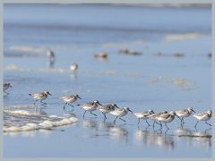 USA_Pacific_Northwest_ER5_6057