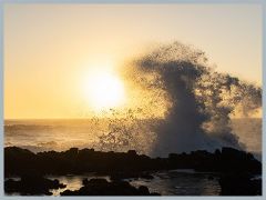 USA_Pacific_Northwest_ER5_6283