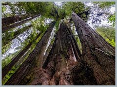 USA_Pacific_Northwest_ER5_6426-HDR