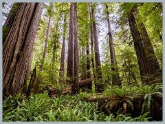 USA_Pacific_Northwest_ER5_6438-HDR