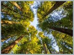 USA_Pacific_Northwest_ER5_6501