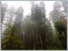 USA_Pacific_Northwest_ER5_6545