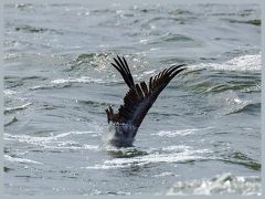 USA_Pacific_Northwest_ER5_6764