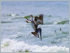 USA_Pacific_Northwest_ER5_6780