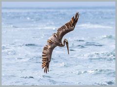 USA_Pacific_Northwest_ER5_6791-Verbessert-RR