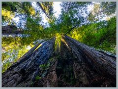 USA_Pacific_Northwest_ER5_6849