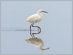 USA_Pacific_Northwest_ER5_6907