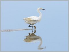 USA_Pacific_Northwest_ER5_6911