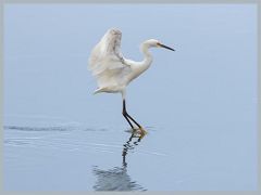 USA_Pacific_Northwest_ER5_6914