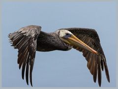 USA_Pacific_Northwest_ER5_6950