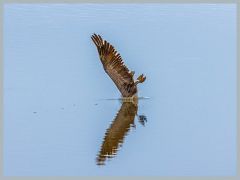 USA_Pacific_Northwest_ER5_6965