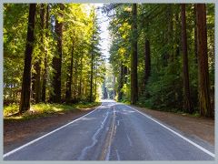 USA_Pacific_Northwest_ER5_7004