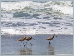 USA_Pacific_Northwest_ER5_7038