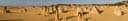 Panorama Pinnacle Desert 7_1D3X6952-1D3X6965-crop