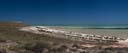 Panorama Shark Bay 1_1D3X5720-1D3X5723-crop
